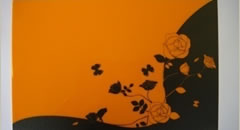 Printed Pettern